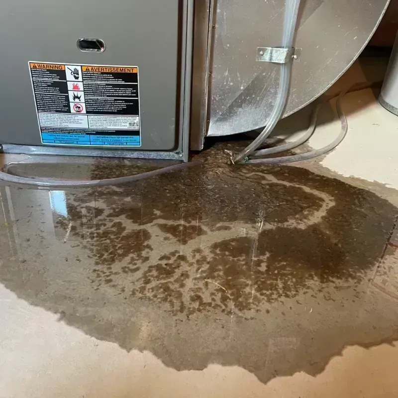 Appliance Leak Cleanup in Petersburg, IL